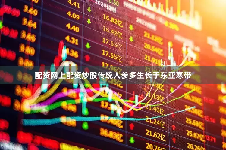 配资网上配资炒股传统人参多生长于东亚寒带