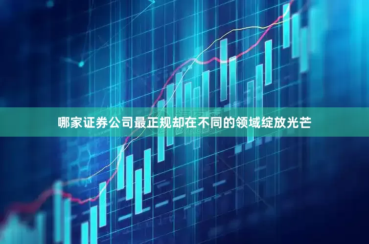 哪家证券公司最正规却在不同的领域绽放光芒