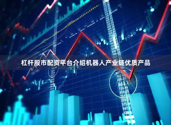 杠杆股市配资平台介绍机器人产业链优质产品