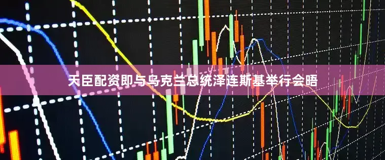 天臣配资即与乌克兰总统泽连斯基举行会晤